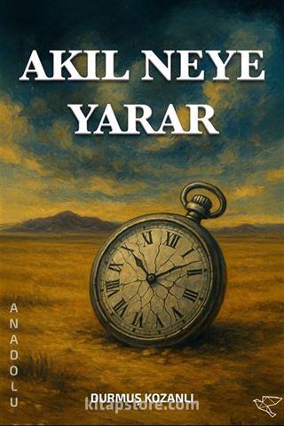 Akıl Neye Yarar