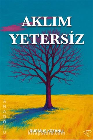 Aklım Yetersiz
