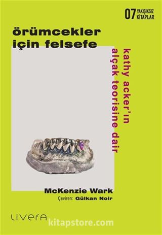 Örümcekler İçin Felsefe: Kathy Acker'ın Alçak Teorisine Dair
