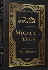 Mecmû'u'l-Fetava (24. Cilt)