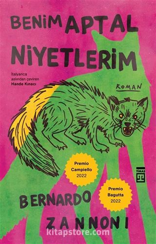 Benim Aptal Niyetlerim