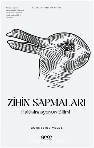 Zihin Sapmaları