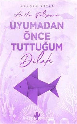 Uyumadan Önce Tuttuğum Dilek 3