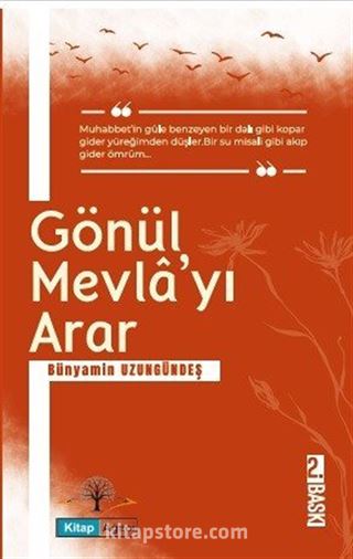 Gönül Mevlayı Arar