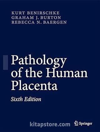 Pathology of the Human Placenta