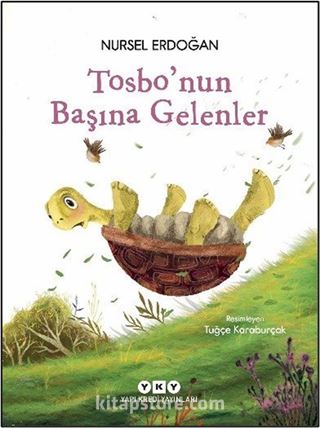 Tosbo'nun Başına Gelenler