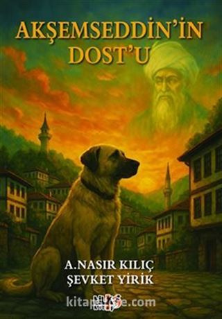 Akşemseddin'in Dostu