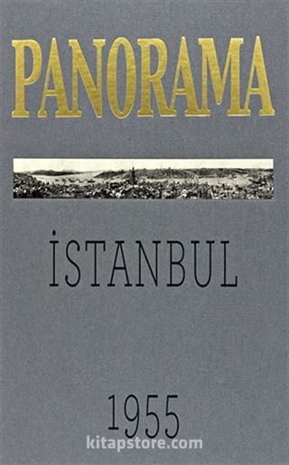 Bir İstanbul Panoraması 1955 (Gri) / An Istanbul Panorama 1955