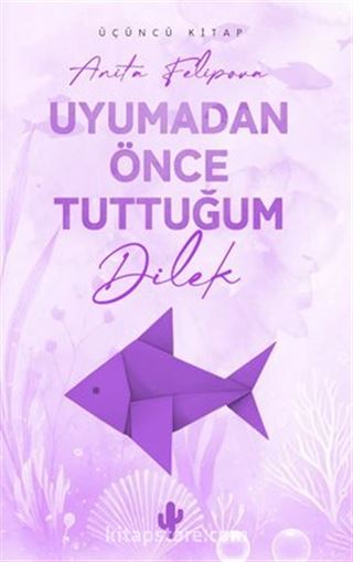 Uyumadan Önce Tuttuğum Dilek 3