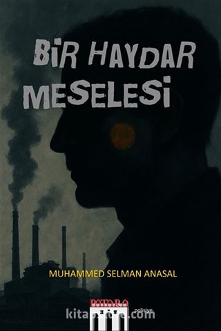 Bir Haydar Meselesi
