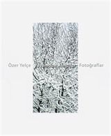 Yaşamdan Alıntılar