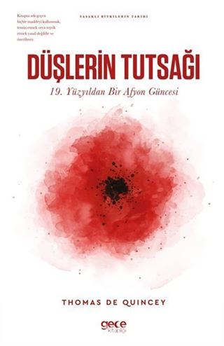 Düşlerin Tutsağı