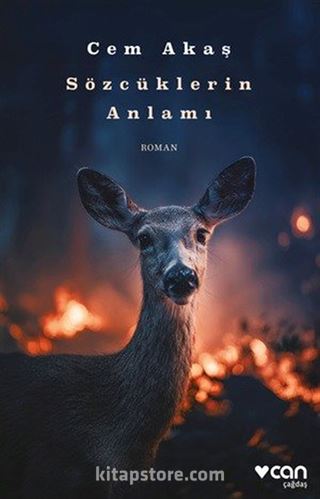 Sözcüklerin Anlamı