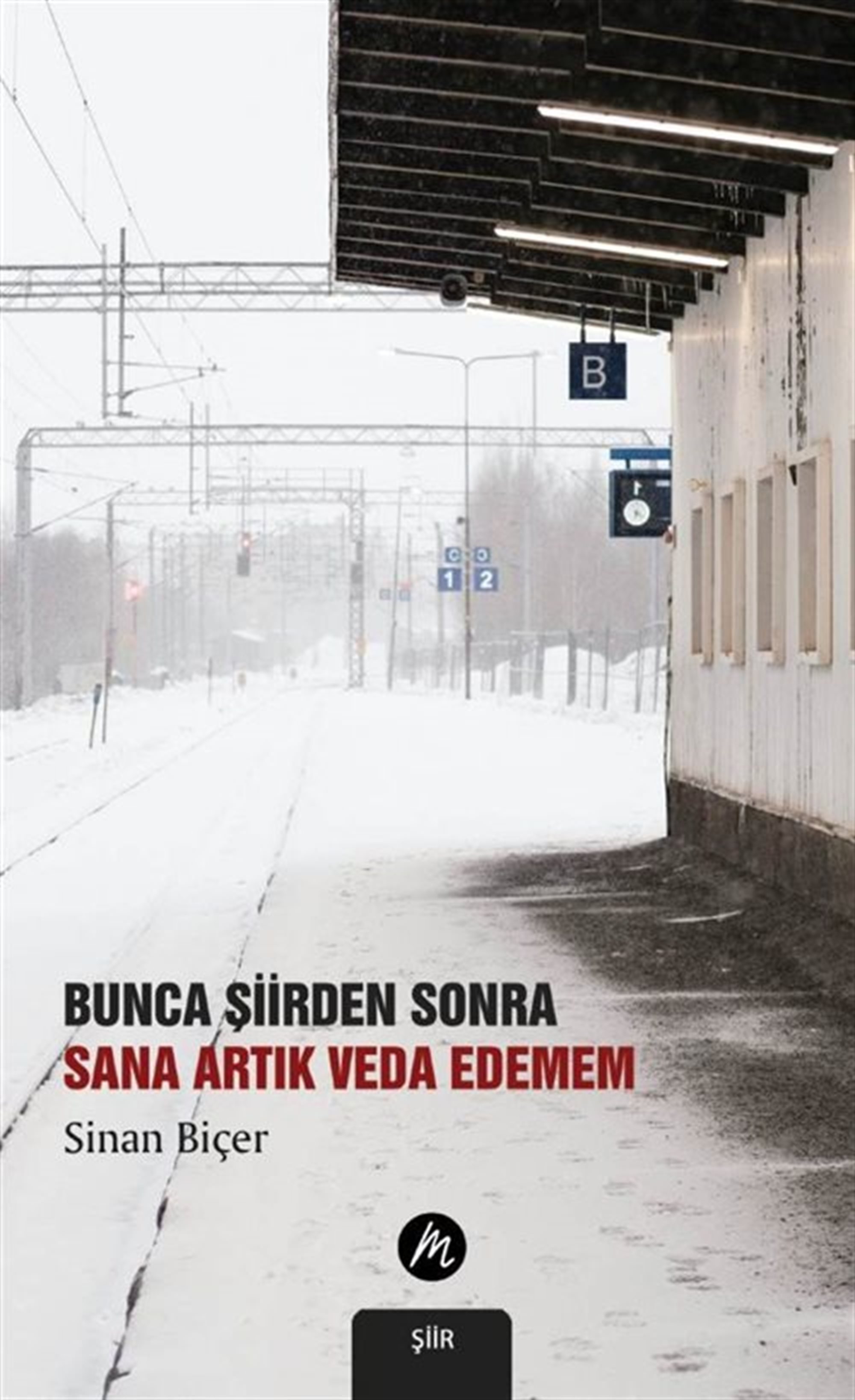 Bunca Şiirden Sonra Sana Artık Veda Edemem