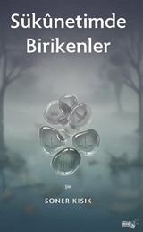 Sukunetimde Birikenler