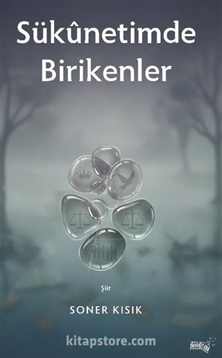 Sukunetimde Birikenler