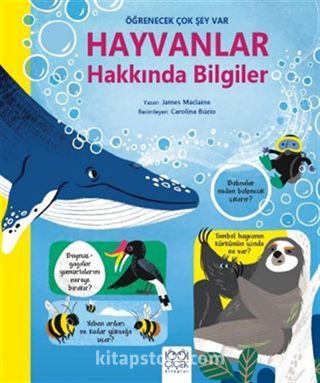 Hayvanlar Hakkında Bilgiler