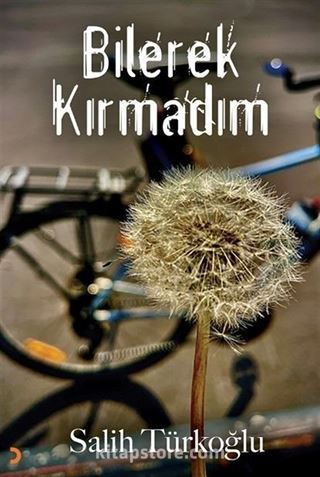 Bilerek Kırmadım
