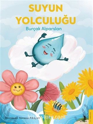 Suyun Yolculuğu
