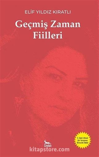 Geçmiş Zaman Fiilleri
