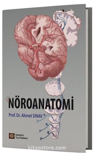 Nöroanatomi