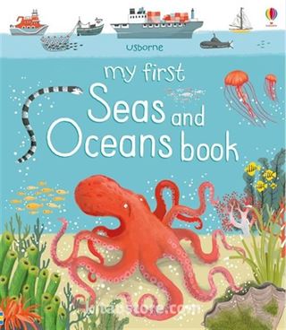 My First Seas and Oceans Book