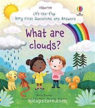 What are Clouds? (Lift the Flap First Questions and Answers)