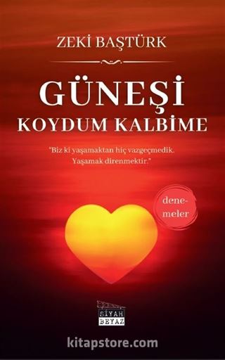 Güneşi Koydum Kalbime