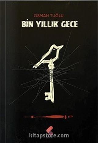 Bin Yıllık Gece