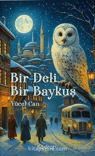 Bir Deli Bir Baykuş