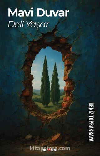 Mavi Duvar Deli Yaşar