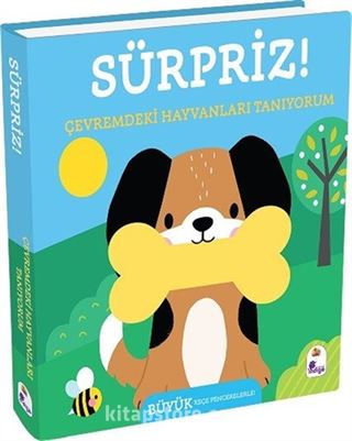 Sürpriz! / Çevremdeki Hayvanları Tanıyorum