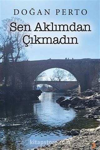 Sen Aklımdan Çıkmadın