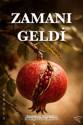 Zamanı Geldi