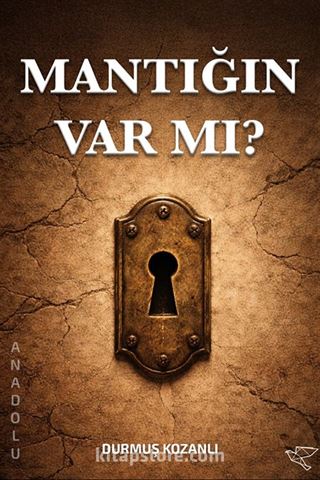 Mantığın Var mı?