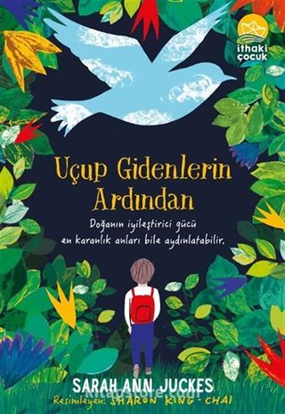 Uçup Gidenlerin Ardından
