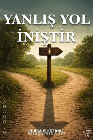 Yanlış Yol İniştir