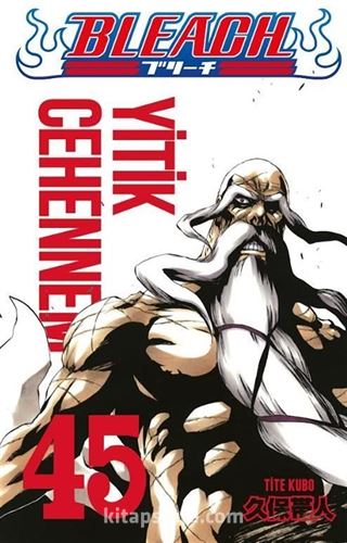 Bleach 45. Cilt / Yitik Cehennem