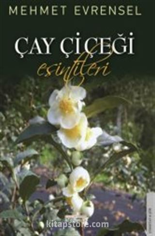 Çay Çiçeği Esintileri