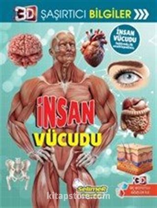 3D Şaşırtıcı Bilgiler / İnsan Vücudu