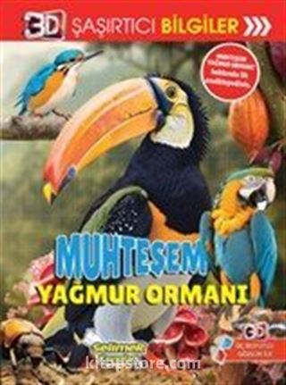 3D Şaşırtıcı Bilgiler / Muhteşem Yağmur Ormanı