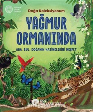 Yağmur Ormanında Doğa Koleksiyonum