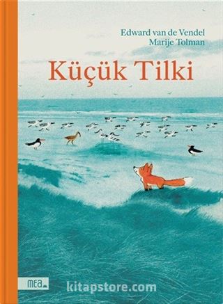 Küçük Tilki