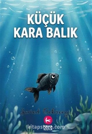 Küçük Kara Balık