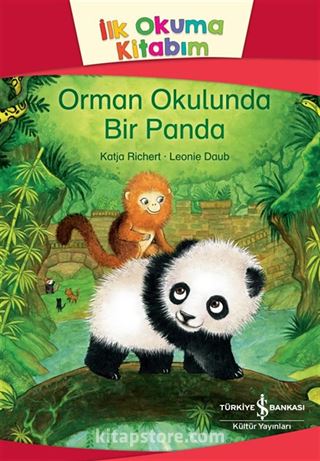 Orman Okulunda Bir Panda