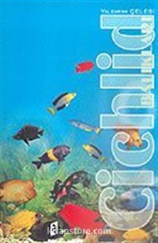 Cichlid Balıkları