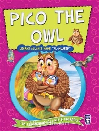 Pico the Owl Learns Allah's Name Al Mujeeb