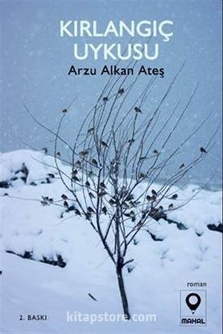 Kırlangıç Uykusu