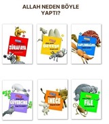 Allah Neden Böyle Yaptı ? (6 Kitap Takım)