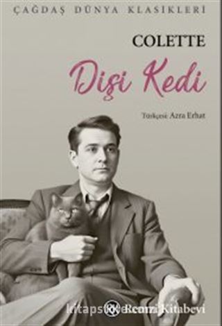 Dişi Kedi